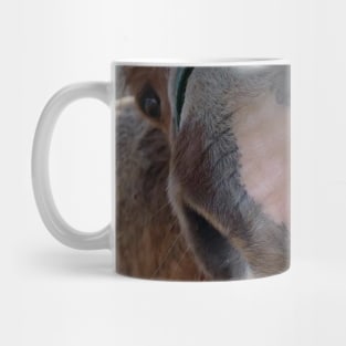 AJ Mug